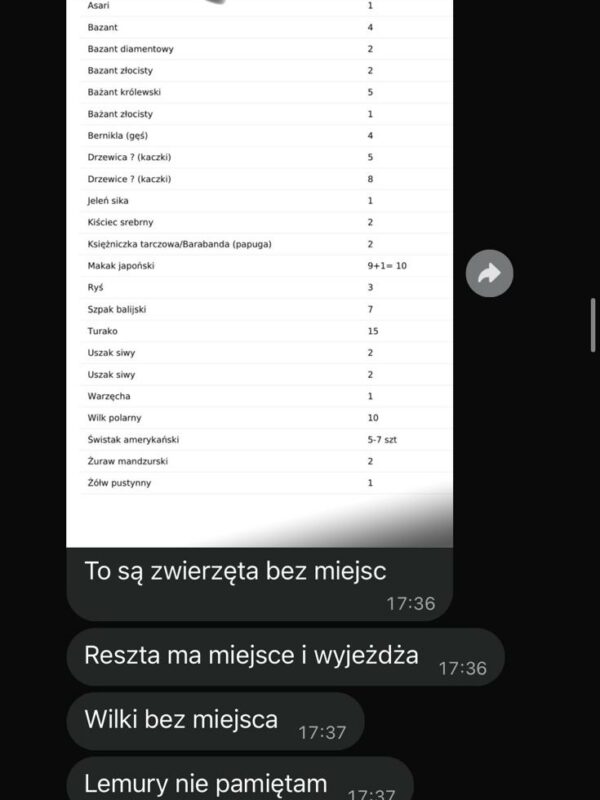 Kasia31