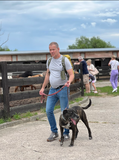 psy do adopcji można wyprowadzić