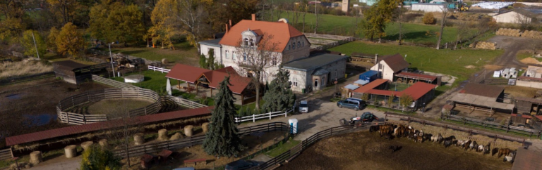 pałac z loty ptaka